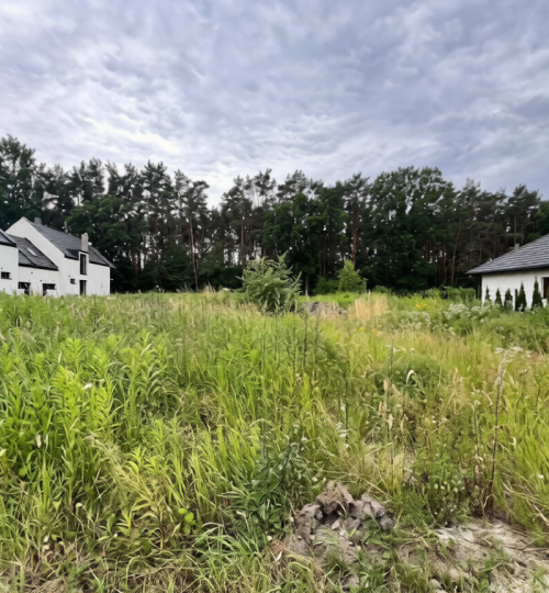 8f300z6k09rmw0cwc2g9fyk5vc